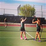 4/3/14 - Basha v. Mesa Red Mountain